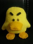 duck
