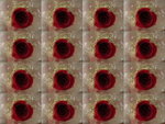 DSCN9864