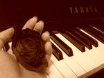 DSCN9828