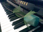 Image043