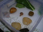 照片 021