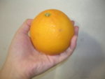 好細既橙~