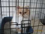 Picture 120