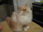 Picture 171