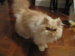 Picture 001