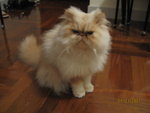 Picture 002