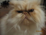 Picture 003