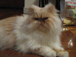 Picture 004