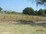 Picture 619