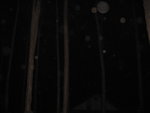IMG_3429