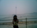 On the SITE