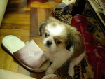 DSCN1686