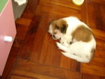 DSCN1728