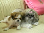 QQ & BeeBee