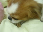 DSCN8777