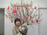 xmas 029