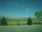 IMG_5561