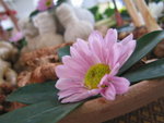 flowers in tailand sumai