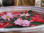 flowers in tailand sumai