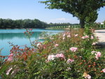 flowers in italy