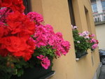 ITALY BELLUNO 2004