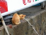 IMG_2477_039