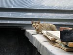 IMG_2529_045