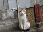 IMG_2541_047