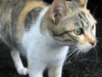IMG_2553_048