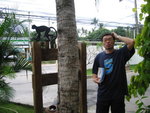 we are monkey