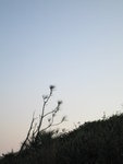 BELOW THE SUNSET