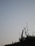 BEHIND THE SUN