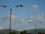 小攬跟機場只是一水之隔, 可以見到飛機升降