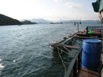 一跳下去就是大海