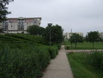 2006_06170053