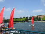 2006_06170066