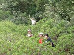 15 萬綠叢中