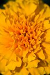 090316IMG_9309