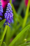 090316IMG_9321
