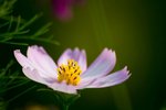 090317IMG_9381