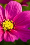090317IMG_9385