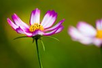 090317IMG_9402