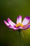 090317IMG_9404