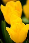 090317IMG_9420
