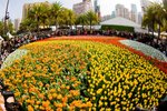 090317IMG_9438