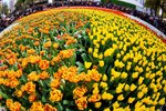 090317IMG_9441