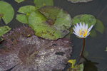 IMG_6880