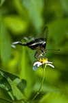 mIMG_1827
