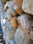 IMG_9419