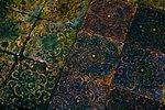090625IMG_0005